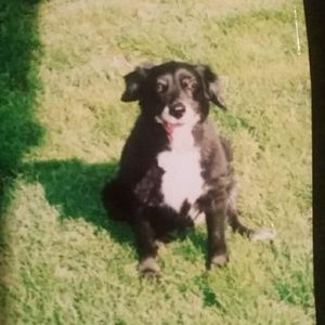 Meet your Posher, Gloria